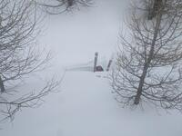 Leçon du jour : se méfier des petits ruisseaux Leçon du jour : se méfier des petits ruisseaux